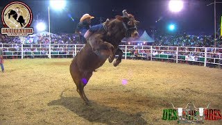 ¡¡20 DESTRUCTORES EN IGUALA GUERRERO 24 FEBRERO 2019 [upl. by Enelyt289]