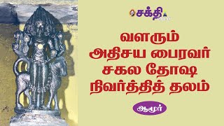 அதிசய பைரவர் சித்தர்கள் வழிபட்ட சிவன் விதி மாற்றும் பிரம்மா  ஆமூர்  பரிகாரத் திருத்தலம் Amoor [upl. by Brookhouse]