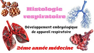 HISTOLOGIE RESPIRATOIRE  Dévlopement embryologique de appareil respiratoire 2éme année médecine [upl. by Nehgam]