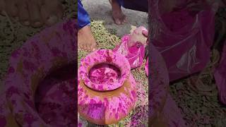 holi apical full mosti সাথে হোলি স্পেশাল সিদ্দি 😋🙋🎉🎊 holispacial holi ailastbar [upl. by Xam587]