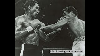 Wilfred Benitez vs Antonio Cervantes Highlights [upl. by Hartfield]