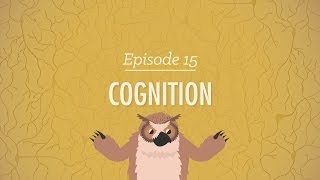 Cognition  How Your Mind Can Amaze and Betray You Crash Course Psychology 15 [upl. by Madoc]