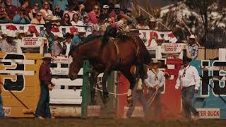 2024 Pendleton RoundUp Champions [upl. by Avruch]