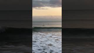 Sunset and Surfers at East Wittering Beach surf surfing shorts sunset surfer [upl. by Notneiuq446]