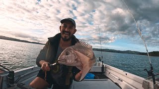 Fishing Whangarei harbour snapper mullet kahawai [upl. by Nwadrebma]