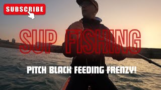 SUP FISHING BRIGHTON UK  PADDLE BOARD FISHING  PITCH BLACK FEEDING FRENZY [upl. by Maidy]