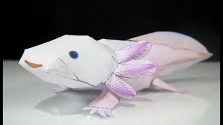 FAZENDO UM AXOLOTE  SALAMANDRA DE PAPEL  PAPERCRAFT [upl. by Lipinski]