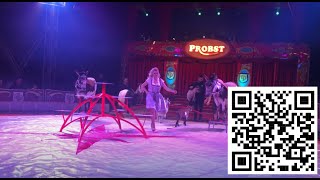 Circus Probst in Rheine  Tierdressur  20 April 2024 [upl. by Retlaw]