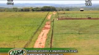 Fazenda com 1150 ha na cidade de Chapadão do Sul MS [upl. by Dygal]