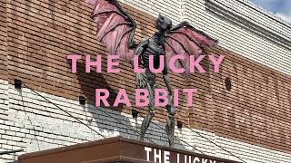 THE LUCKY RABBIT [upl. by Tippets]