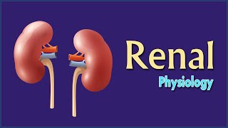 Easy Physiology  Renal  03 Juxtaglomerular Apparatus amp RAAS [upl. by Arreik]