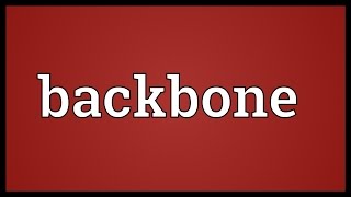 Backbone Meaning [upl. by Miner863]