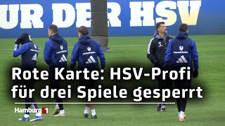 Rote Karte HSVProfi für drei Spiele gesperrt [upl. by Aubree]