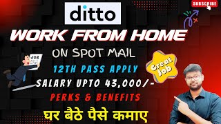 DITTO  WORK FROM HOME  12TH PASS JOB  ON SPOT MAIL  ONLINE JOB  NO FEE jobs2024 jobs [upl. by Eatnahc975]