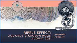 RIPPLE EFFECT RECONNECTING TO WHATS IMPORTANT  ASTROLOGY UPDATE  AUG 22SEP 7 [upl. by Kristin]