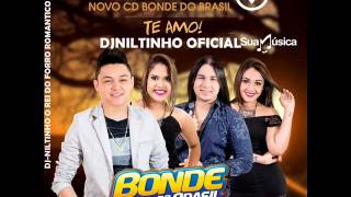 BONDE DO BRASIL 2016 CRIME PERFEITO MAIO DE 2016 [upl. by Christianity]