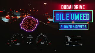 Dil E Umeed Tora Hai Kisi Ne  2024  Slowed amp Reverb  Bass boosted  Dubai Drive  Asif Ali Santoo [upl. by Ydak]