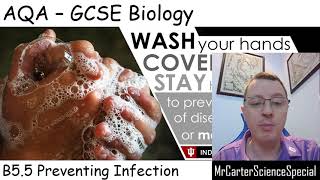 B55  Preventing Infection  AQA Biology GCSE 91 [upl. by Ennahoj]