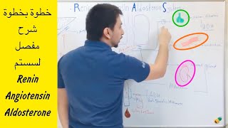 شرح مفصل خطوة بخطوة لسستم Renin Angiotensin Aldosterone [upl. by Lerraf626]