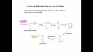 Carbocation rearrangements [upl. by Tnilf]