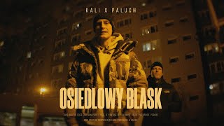 Kali Paluch Type Beat  OSIEDLOWY BLASK [upl. by Rambort]