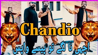 Chandio Full Attitude New Tiktok  mansoor chandio tiktok  chandio [upl. by Xylina]