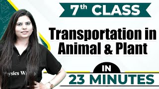 Transportation in Animal and Plant  Cheat Sheet For Class 7th [upl. by Susana872]