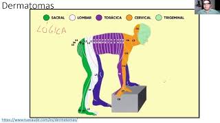 ¡Los dermatomas en 4 puntos ENARM [upl. by Olenta]