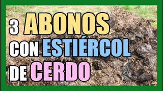 APRENDE A UTILIZAR EL ESTIÉRCOL DE CERDO COMO ABONO PARA LAS PLANTAS [upl. by Ecnarrot]