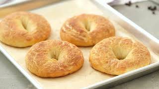 BabkaInspired Greek Yogurt Bagels [upl. by Pearla574]