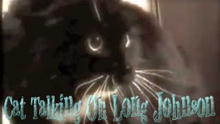 Talking Cat New HD  Cat Talking Oh Long Johnson Subtitles HD [upl. by Hsur]