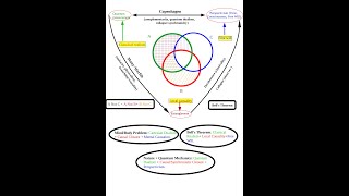 QM24 von Neumann processes and Heisenberg algebra [upl. by Nevetse]