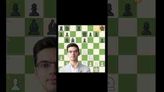 Anish Giri Brilliancy😱‼️shorts [upl. by Tobey]