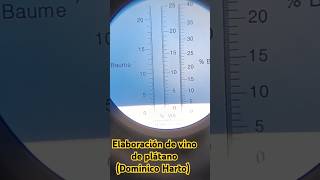 Proceso de elaboración de vino artesanal de plátano [upl. by Adnolrehs]