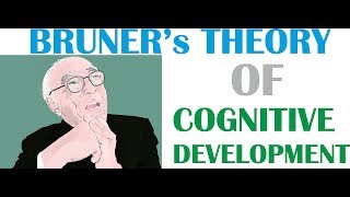 Bruners theory of Cognitive Development [upl. by Dnomzed]