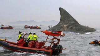 Pescadores Fazem Uma Descoberta Assustadora no Meio do Oceano [upl. by Melar972]