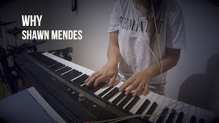 Why  Shawn Mendes  Piano Cover [upl. by Balas624]