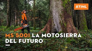 Motosierra STIHL MS 500 i  La Motosierra del futuro [upl. by Amlus]