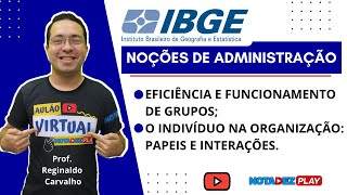 Eficiência e Funcionamento de Grupos  IBGE [upl. by Lerrad774]