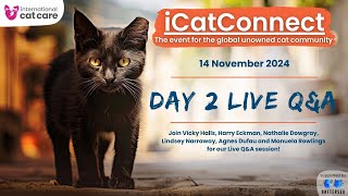 iCatConnect  Day 2  14 November 2024 [upl. by Aneloj]