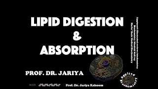 LIPID DIGESTION amp ABSORPTION [upl. by Audry]