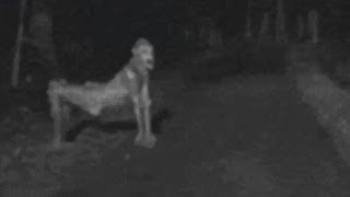 Recent NM skinwalker photo ignites fear [upl. by Yrrehs]