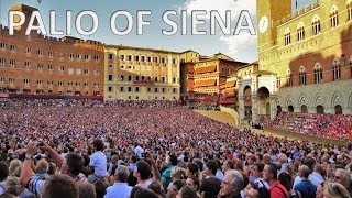 THE PALIO OF SIENA – Italy 🇮🇹 HD [upl. by Lachish478]