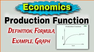 Production Function  Concept and Diagrammatic Analysis [upl. by Elletse]