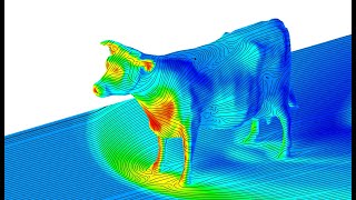 La aerodinámica de una vaca [upl. by Donall]