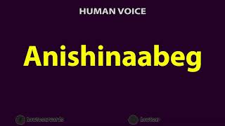 How to Pronounce Anishinaabeg [upl. by Nerraw]