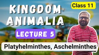 Platyhelminthes Aschelminthes Kingdom Animalia Lecture 5  Class 11 Biology  MH State Board [upl. by Ever]