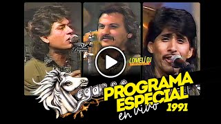 1991  Programa Especial  El Pega Pega Pega Pegasso  En Vivo [upl. by Merdith278]