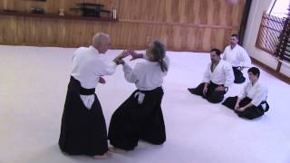 Aikido  William Gleason and George Ledyard Seminar  DVD Sample Clip [upl. by Attenev657]