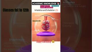 Inhalation and Exhalation 🫁 Mechanism in the Alveoli  Biology ashishsir biology science video [upl. by Burrill]